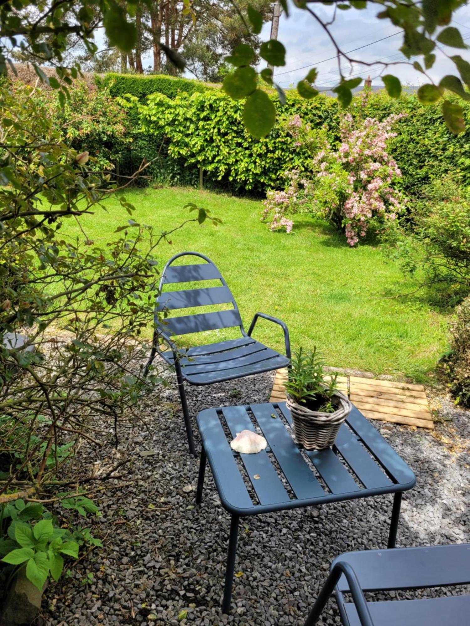Studio Bienvenue Du Cote De Chez Nous Avec Jardin Privatif Wignehies Zewnętrze zdjęcie