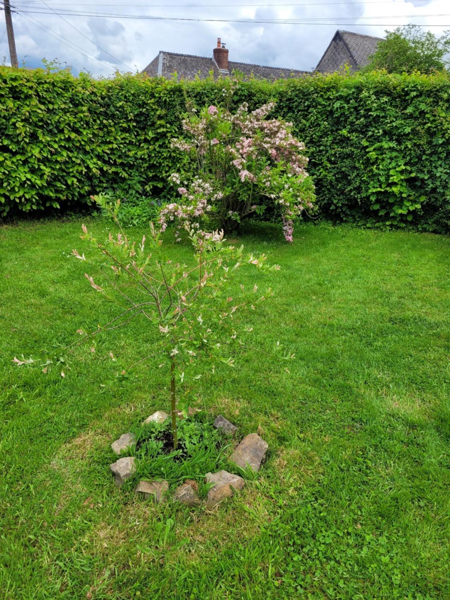 Studio Bienvenue Du Cote De Chez Nous Avec Jardin Privatif Wignehies Zewnętrze zdjęcie